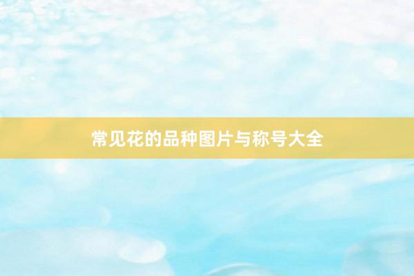常见花的品种图片与称号大全