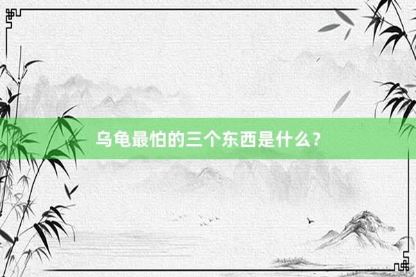 乌龟最怕的三个东西是什么？