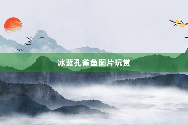 冰蓝孔雀鱼图片玩赏